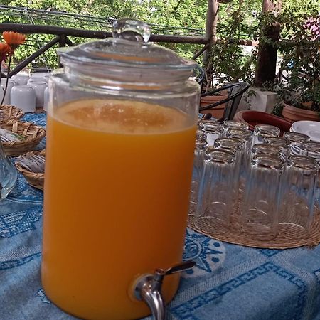 Mio Tulum Hotel Boutique Екстериор снимка A glass dispenser of freshly squeezed orange juice